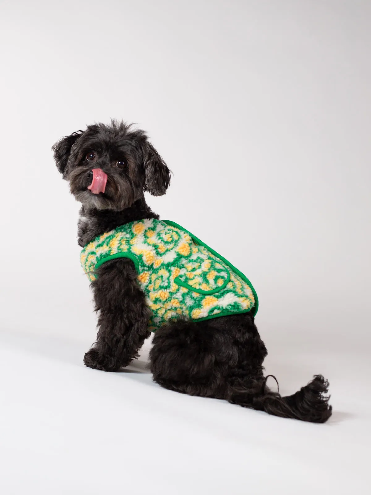 Cozy Dog Fleece for Small Breeds - Kloud