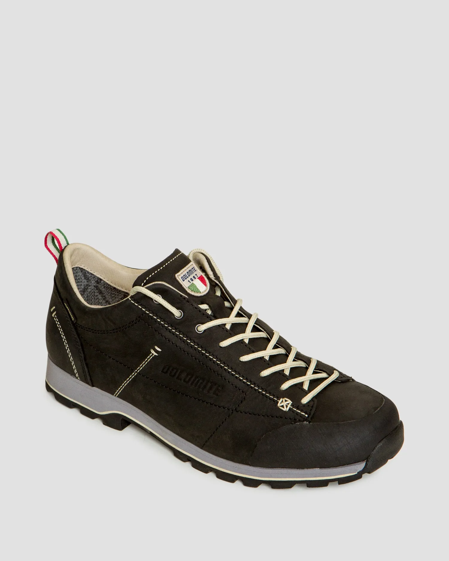 DOLOMITE 54 Low FG GTX boots 247959-119