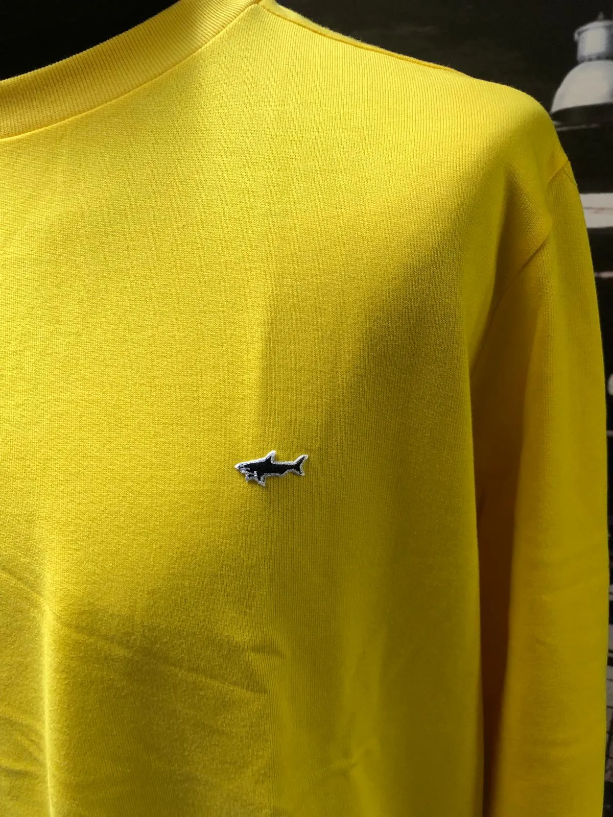 Crewneck sweatshirt di Paul & Shark