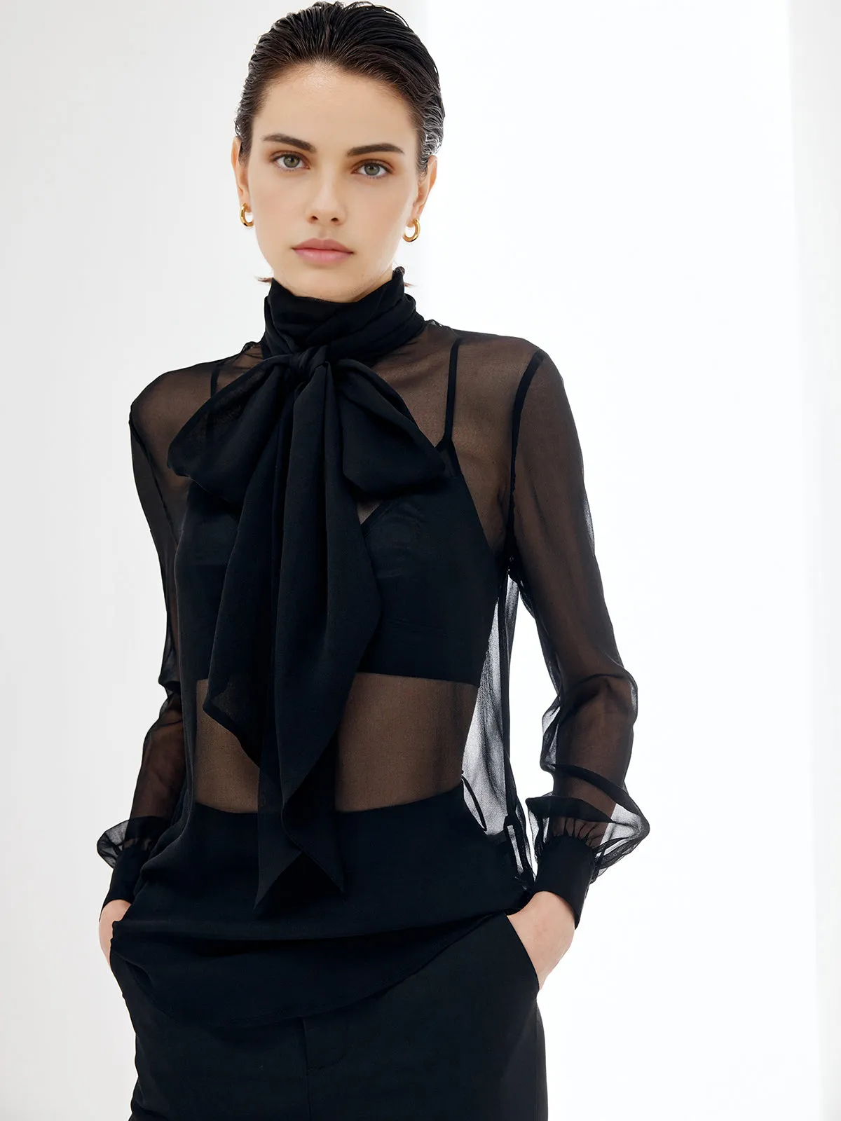 Sheer Bow Chiffon Shirt